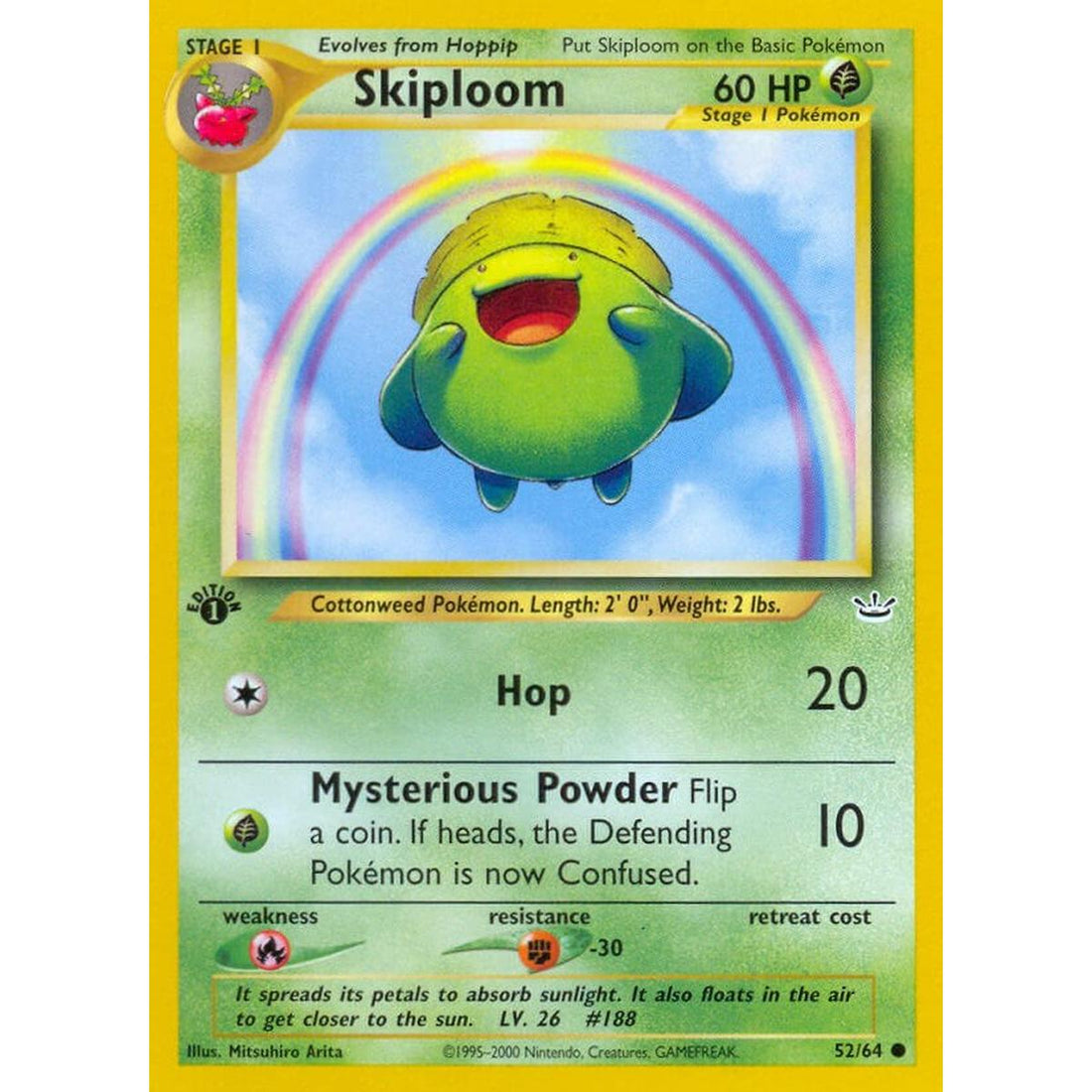 Skiploom