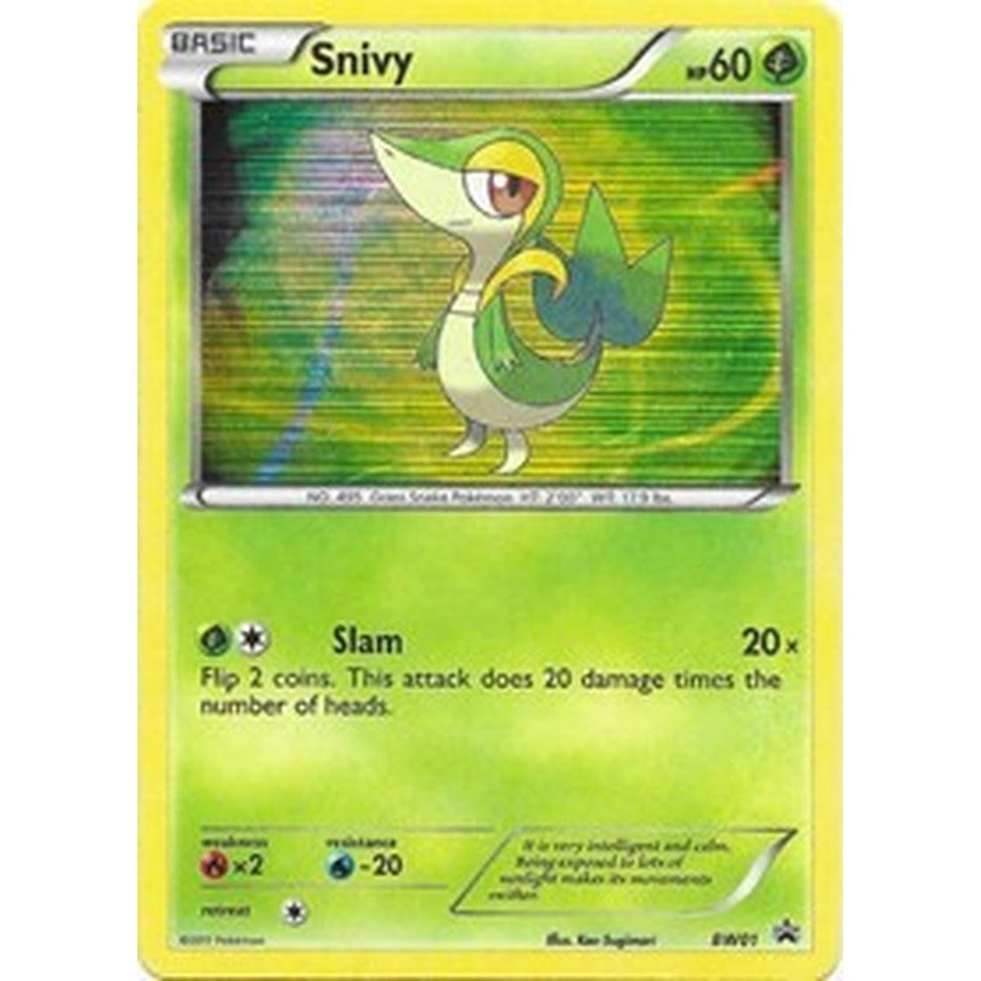 Snivy - BW01