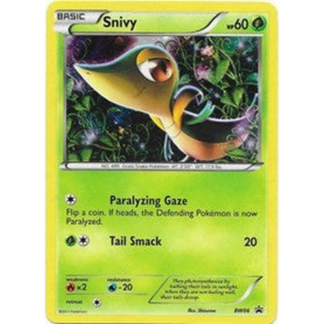 Snivy - BW06