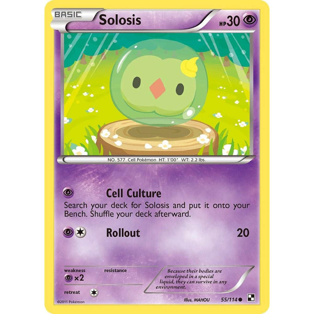Solosis
