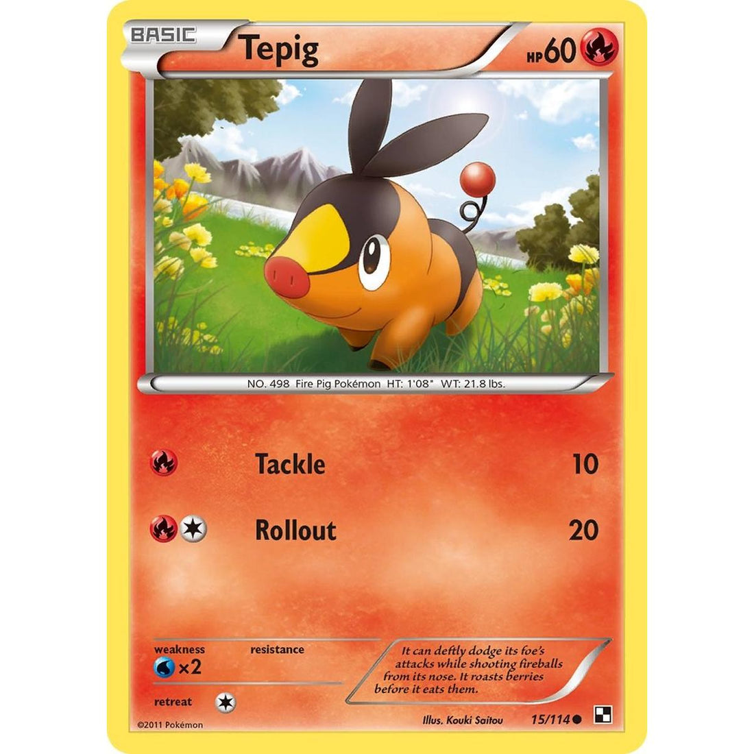 Tepig (15)