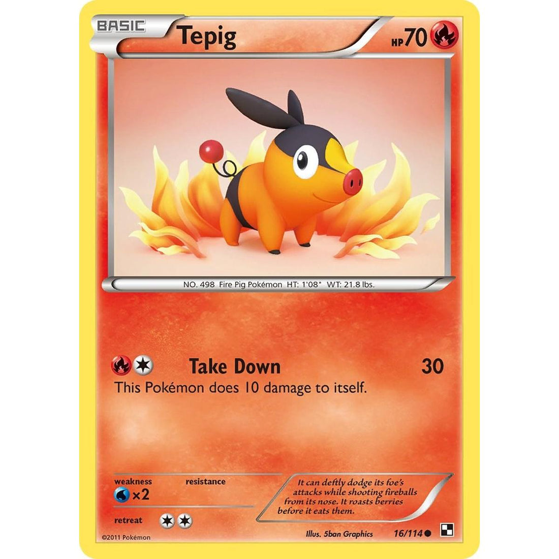 Tepig (16)