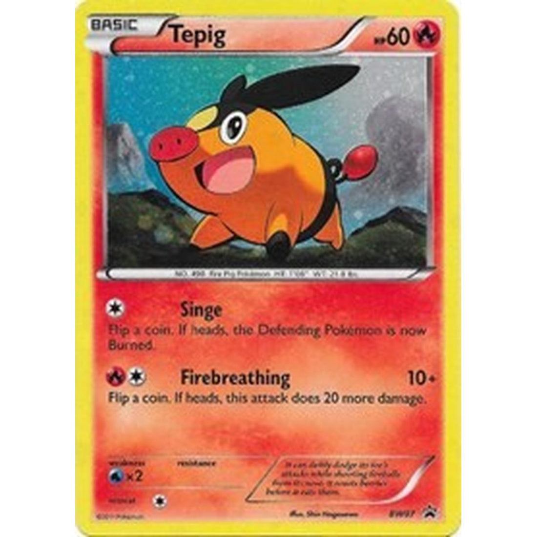 Tepig - BW07