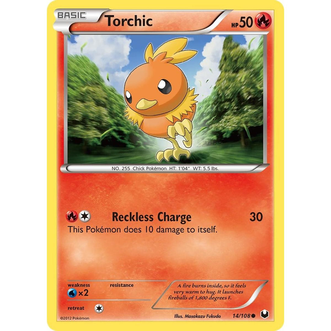 Torchic (14)