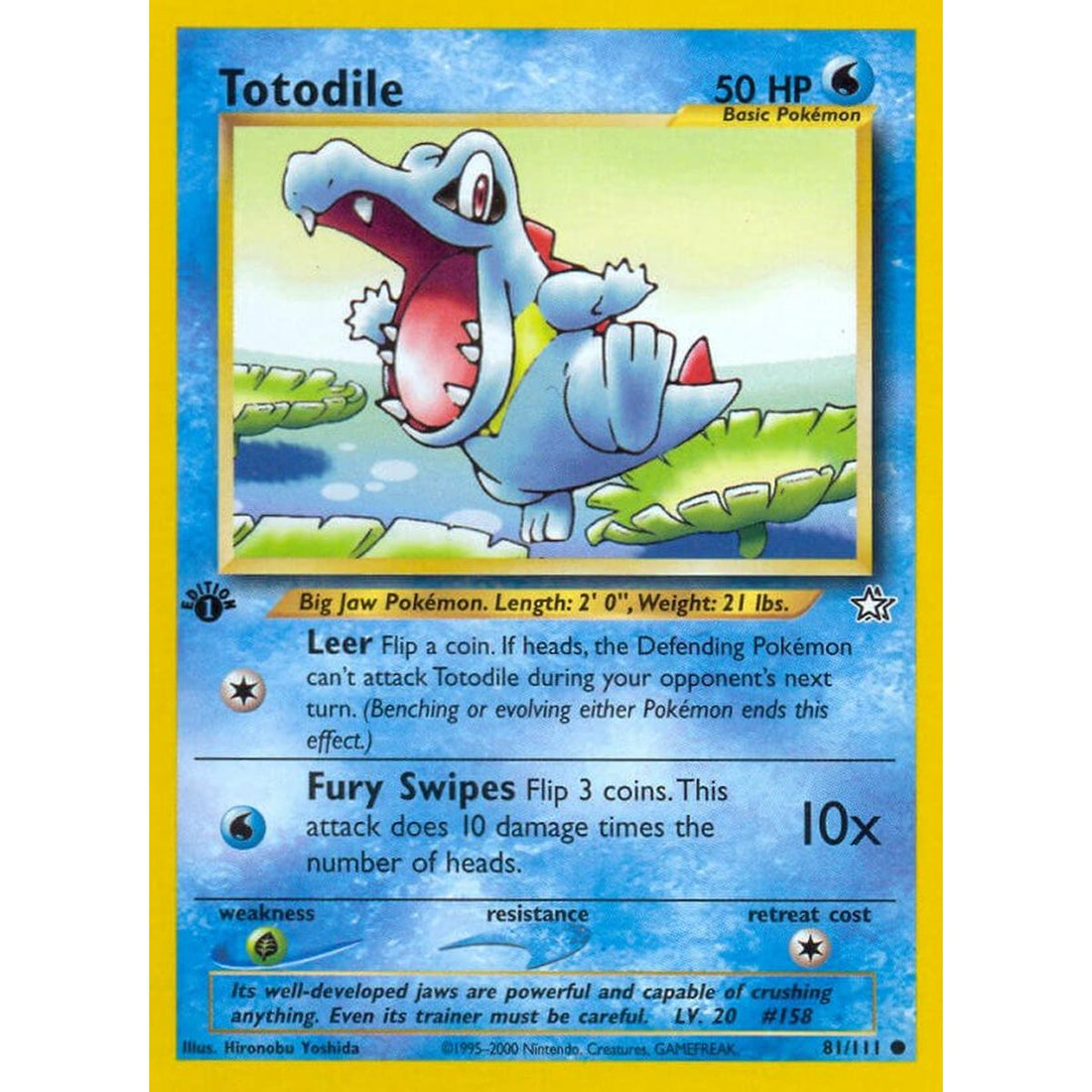 Totodile (81)