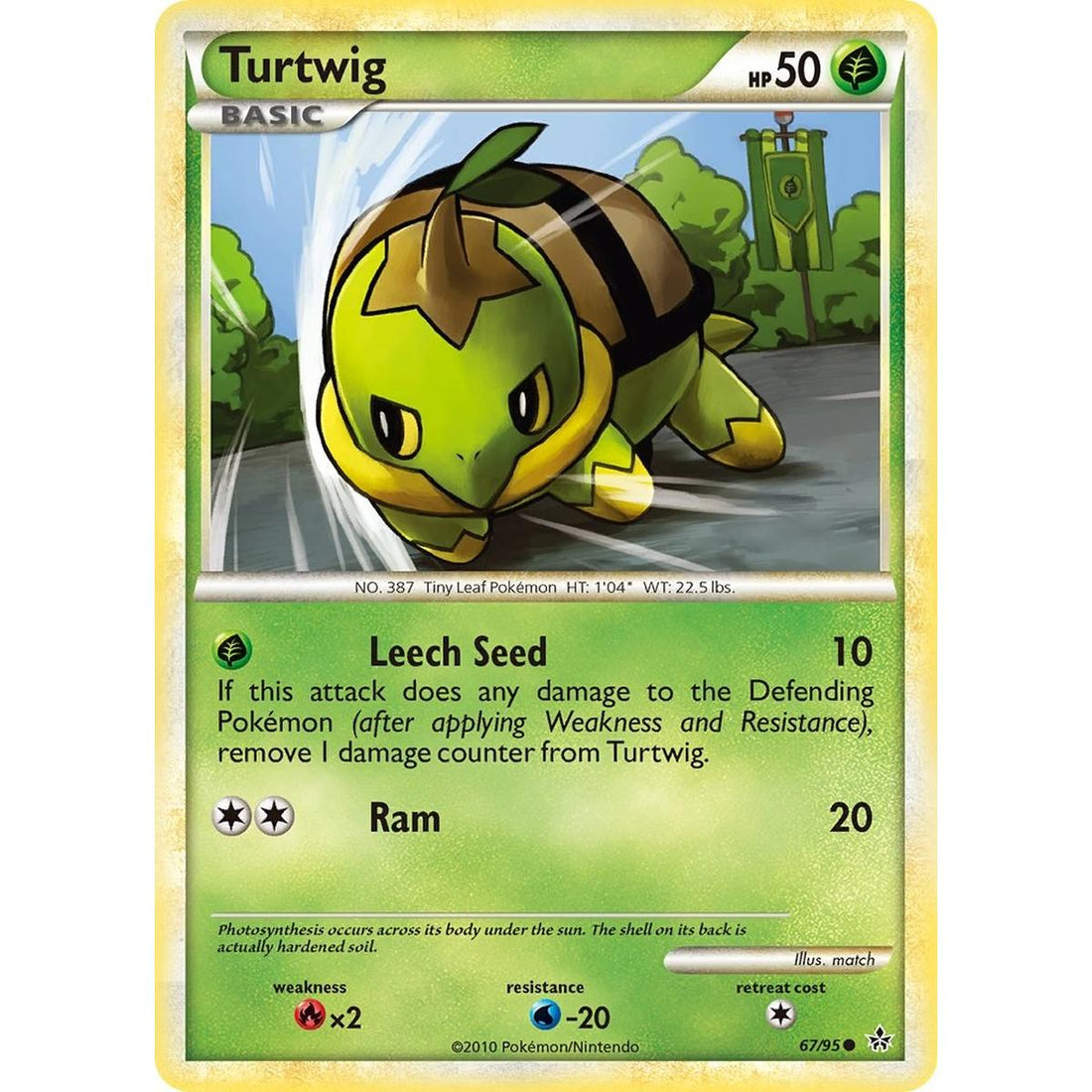 Turtwig