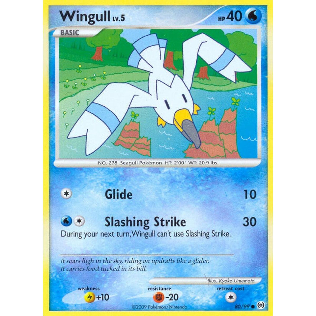 Wingull (80)