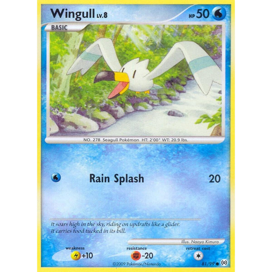Wingull (81)