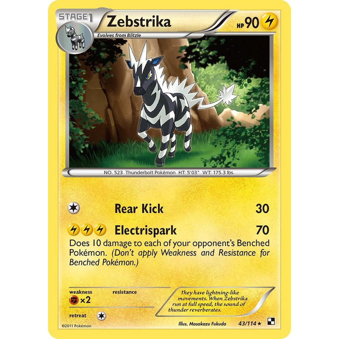Zebstrika (43)