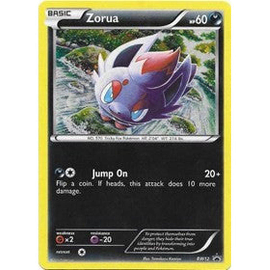 Zorua - BW12