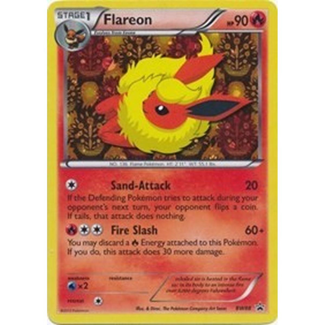 Flareon - BW88