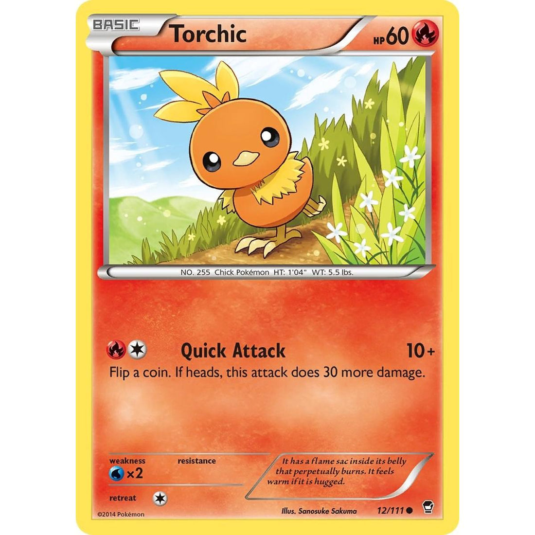Torchic