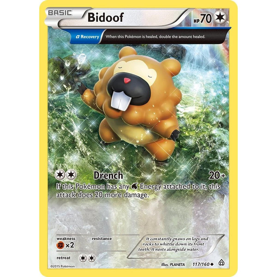 Bidoof (Alpha)