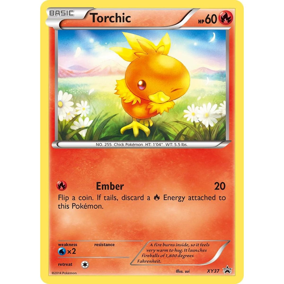Torchic - XY37