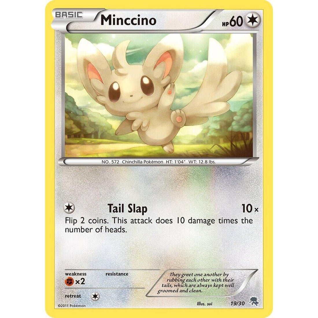 Minccino (#19)