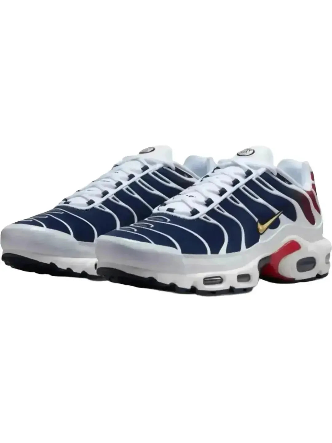 Nike Air Max Plus PSG