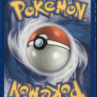 Chikorita