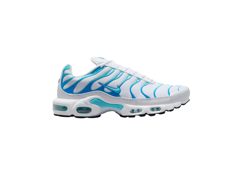 Nike Air Max Plus Polarised Blue
