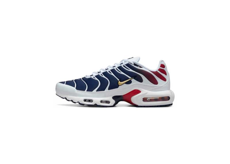 Nike Air Max Plus PSG