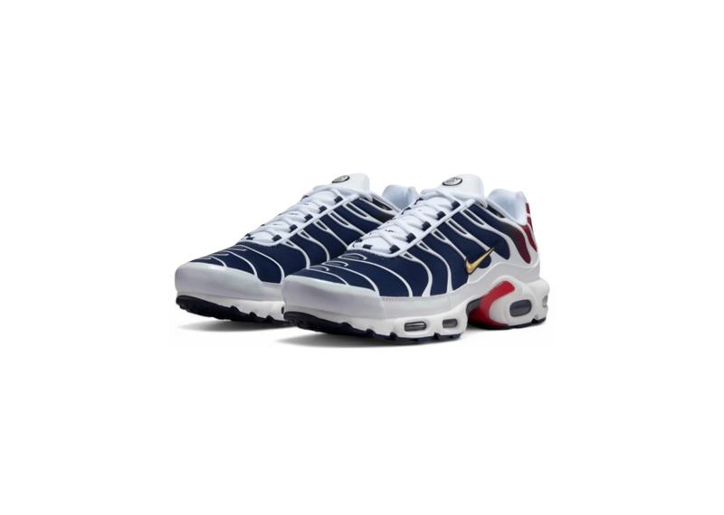 Nike Air Max Plus PSG