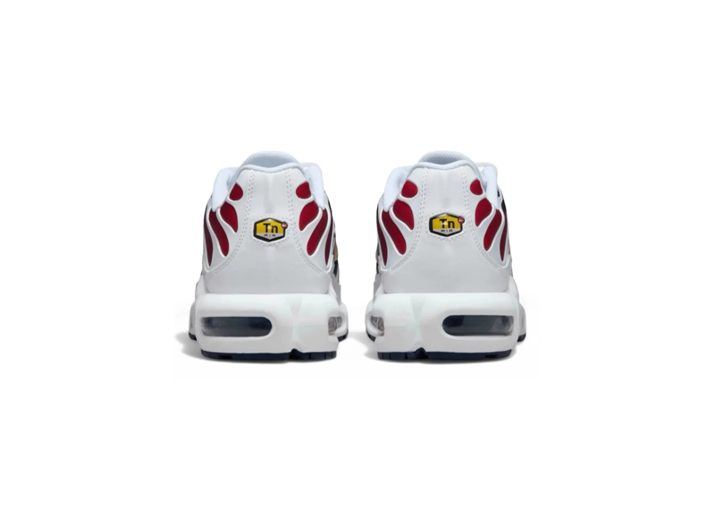 Nike Air Max Plus PSG