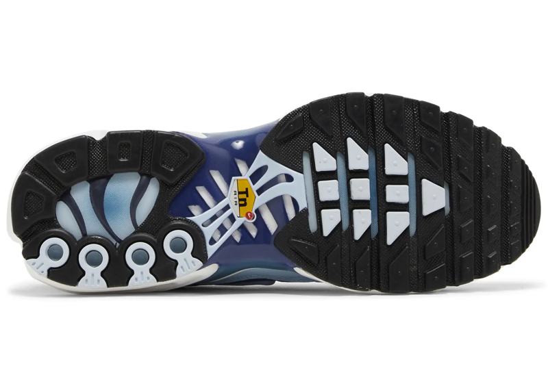 Nike Air Max Plus Celestine Blue (Women's)