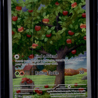 Applin - 185/167
