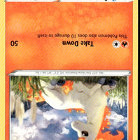 Ponyta