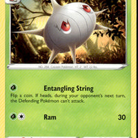 Silcoon