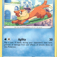 Buizel