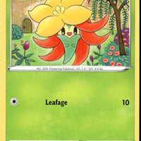 Gossifleur