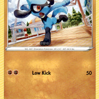 Riolu