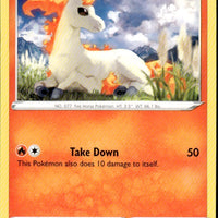 Ponyta