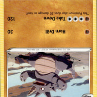 Rhydon