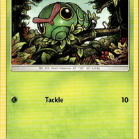 Caterpie