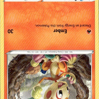 Chimchar