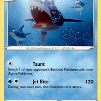 Sharpedo