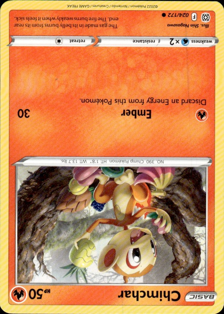 Chimchar