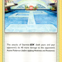 Misty's Cerulean City Gym