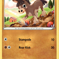 Mudbray