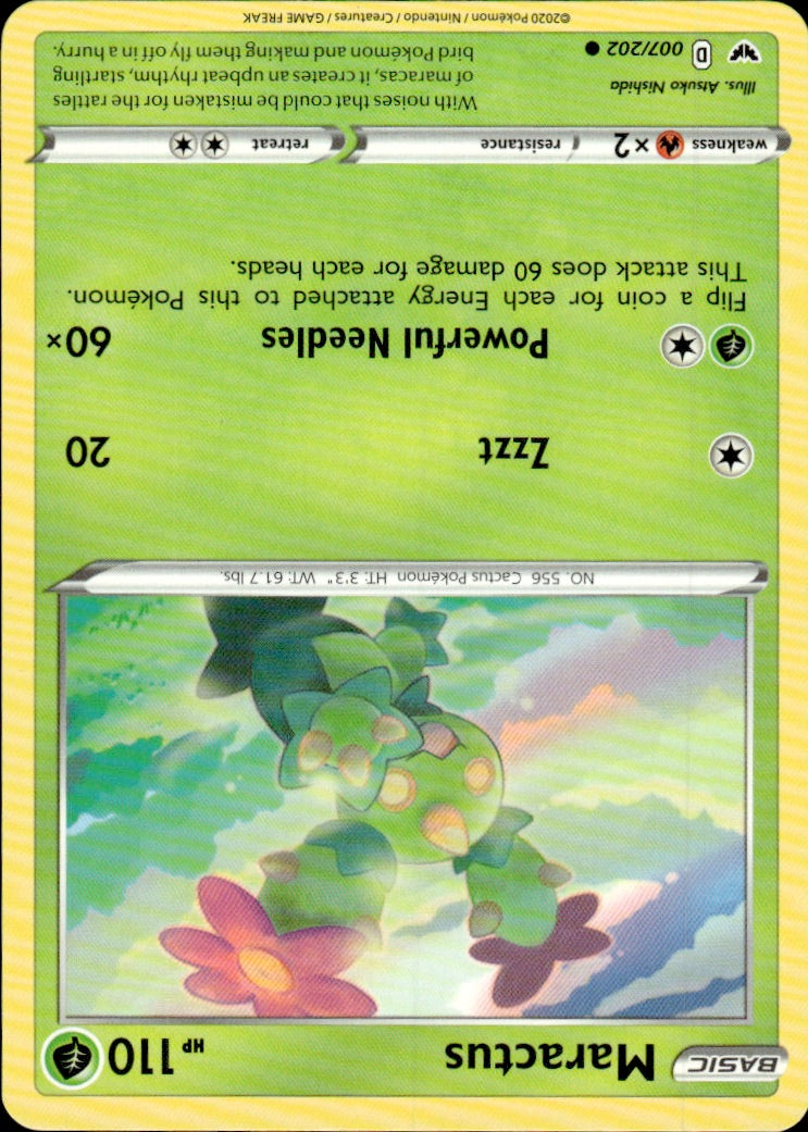 Maractus