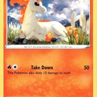Ponyta
