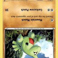 Larvitar (41)