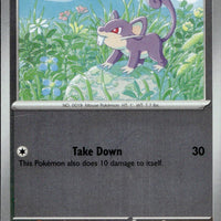 Rattata