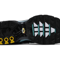 Nike Air Max Plus Aqua Blue